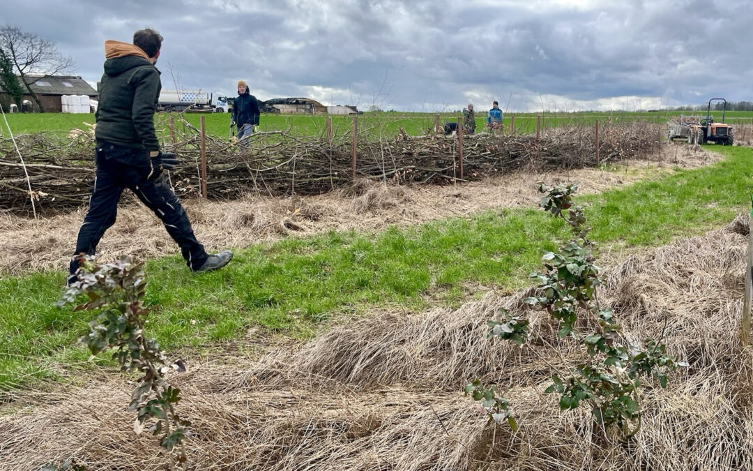 Eerste buitenwerkdag van het nieuwe jaar in het voedselbos